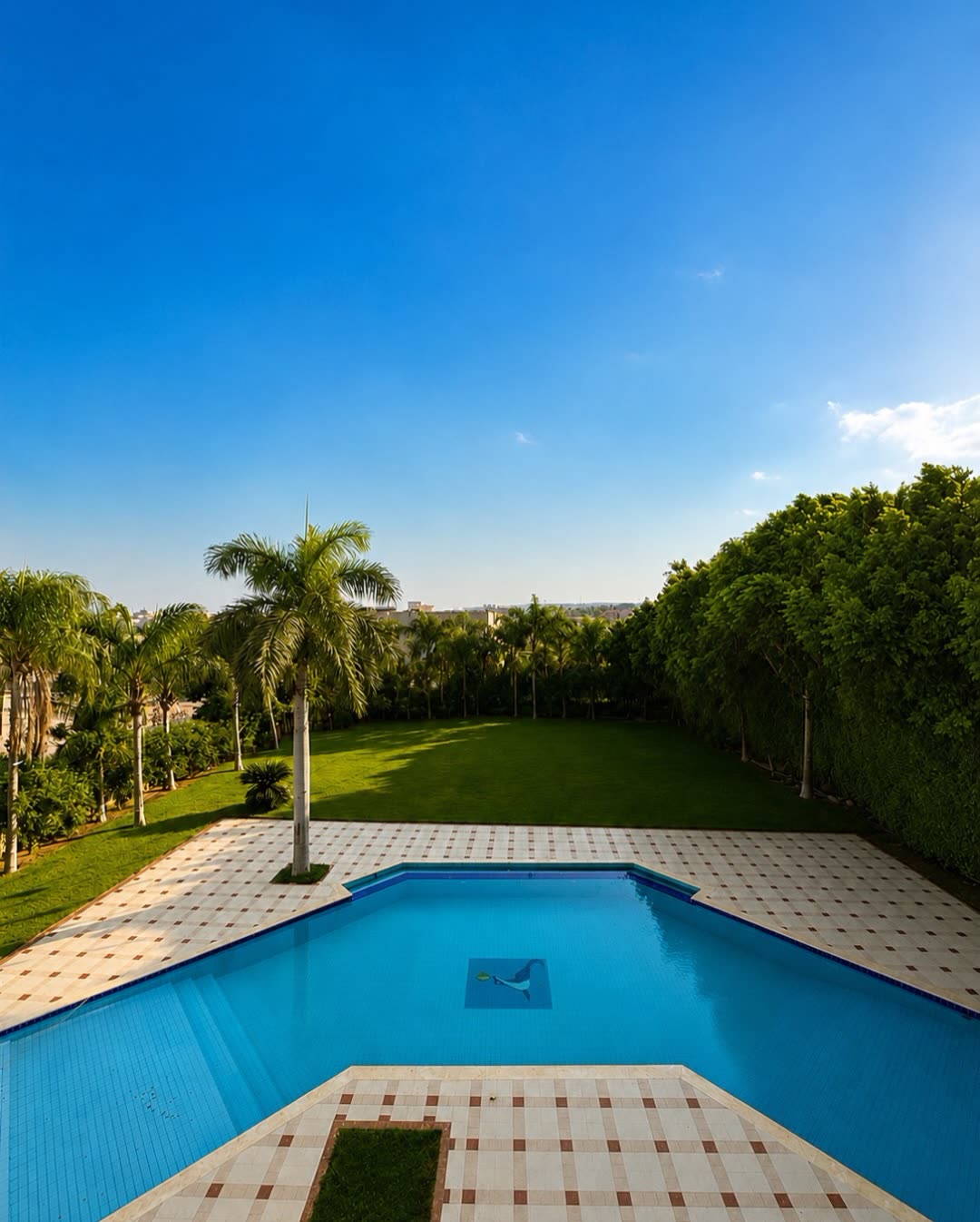 The Casa De Palm garden, palms and pool